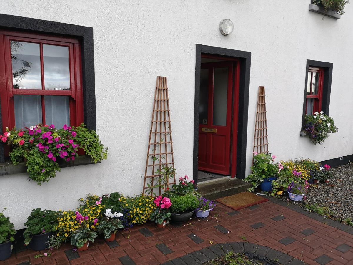 Nellys Bed And Bikes Hotel Westport Buitenkant foto